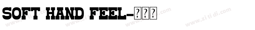 SOFT HAND FEEL字体转换